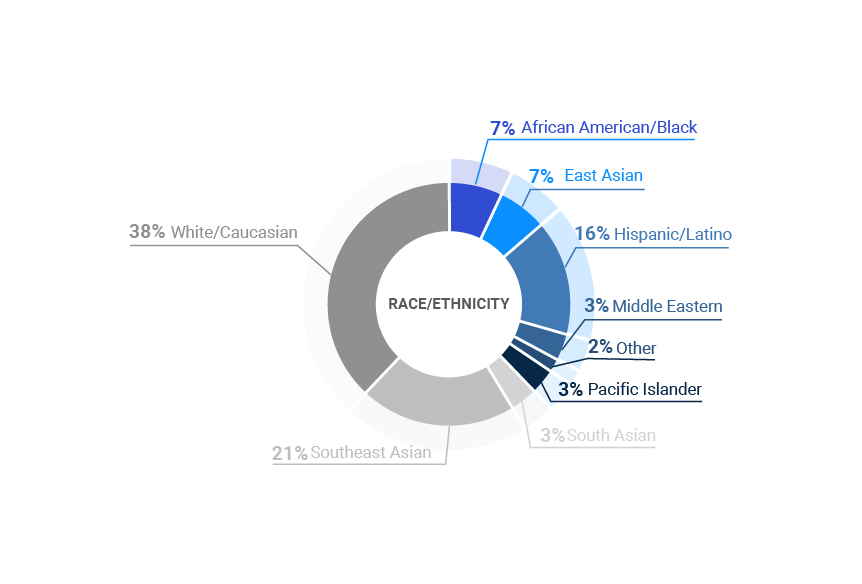 careers page pie chart 2